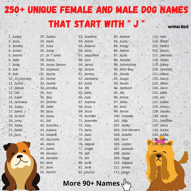 Good Dog Names That Start with J