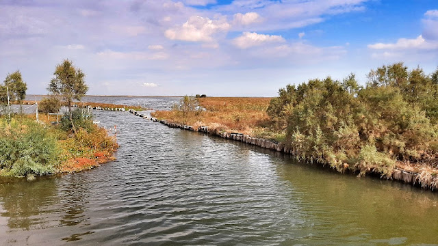 casoni fogolana valle millecampi laguna venezia