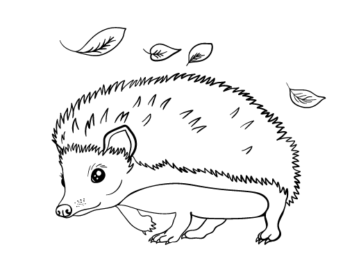 Hedgehog coloring page