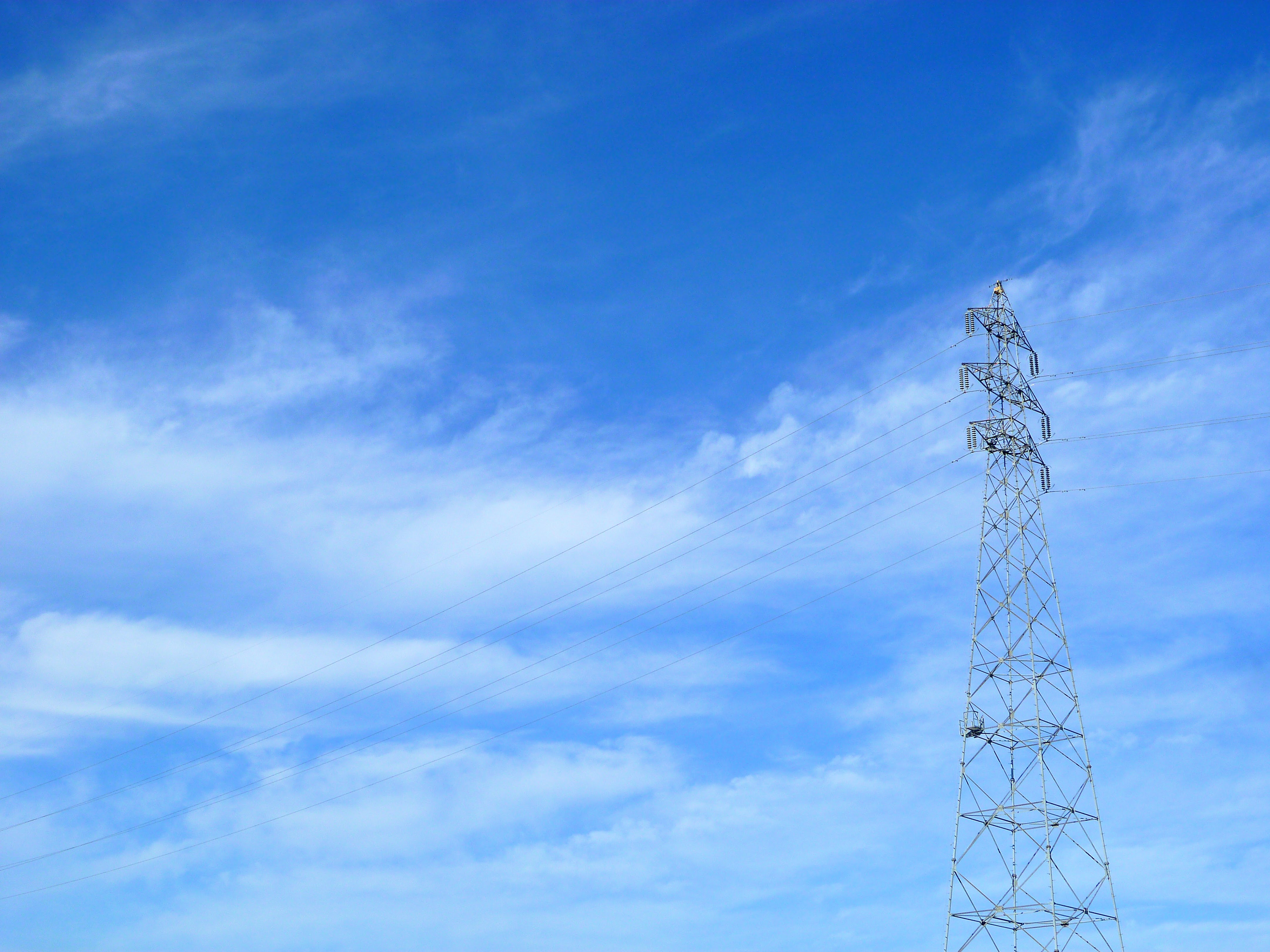 Bloggerの画像の小技 (2021/10/08: 新仕様 URL に関して追記しました) | ふじろじっく