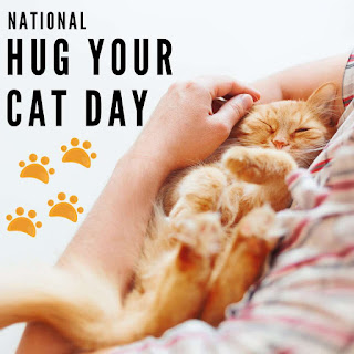 National Hug Your Cat Day HD Pictures, Wallpapers