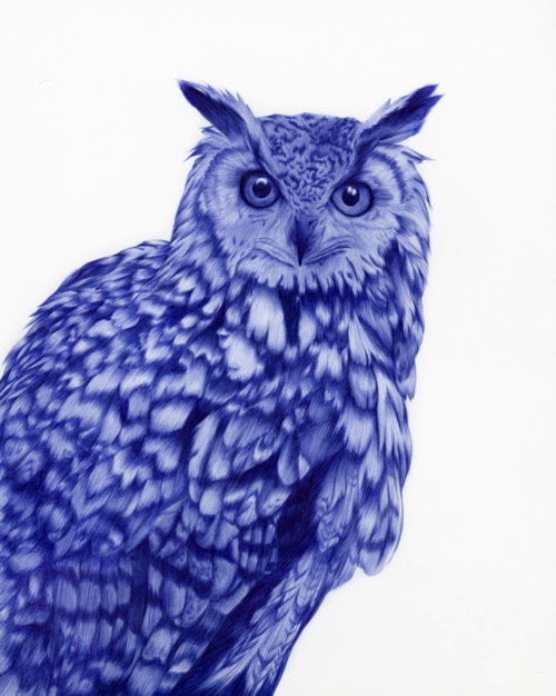 11-Owl-Sarah-Esteje-ABADIDABOU-Hyper-realistic-Ballpoint-Pen-Animals-www-designstack-co