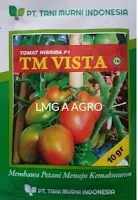 Tomat TM Vista, Buah Tomat TM Vista, Benih TM Vista Murah, Jual Benih TM Vista Terbaru, Beli TM Vista Terbaik, Tanaman Tomat, Cara Menanam Tomat, Tani Murni, TM Seeds, Lmga Agro