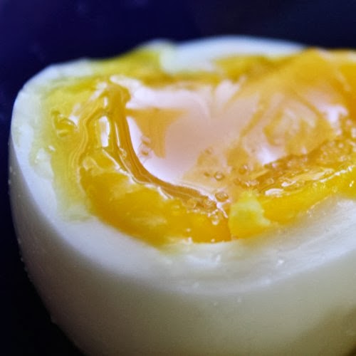 The Eco Cat Lady Speaks The Perfect 3Minute Egg In Only 8.5 Minutes!