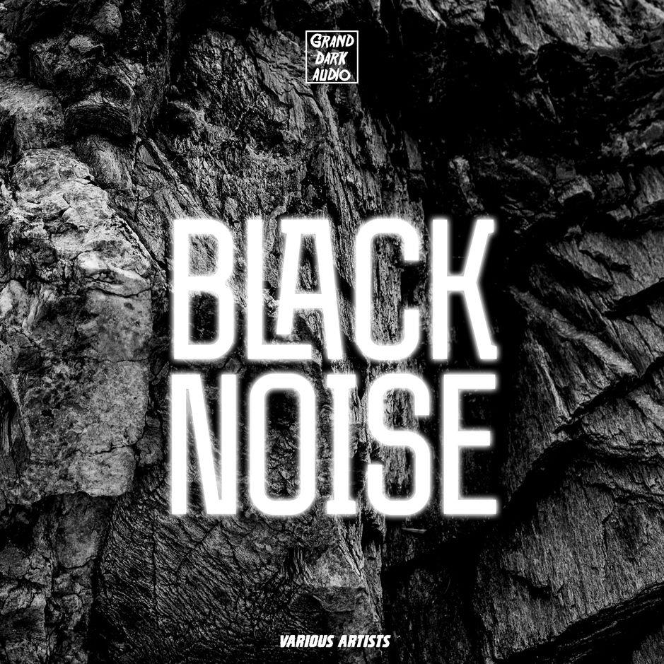 Various Artists Black Noise [iTunes Plus AAC M4A] iTunes Plus Apple