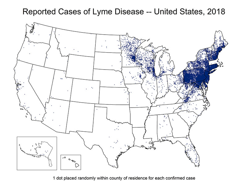 Map of the United States showing reported cases of Lyme Disease in 2018