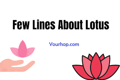 Short few lines essay on lotus for class 1,2,3,4,5