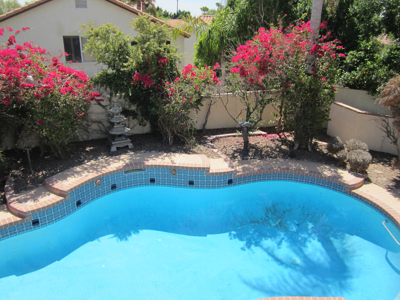 A & E's Adventures House Hunters Arizona Edition!