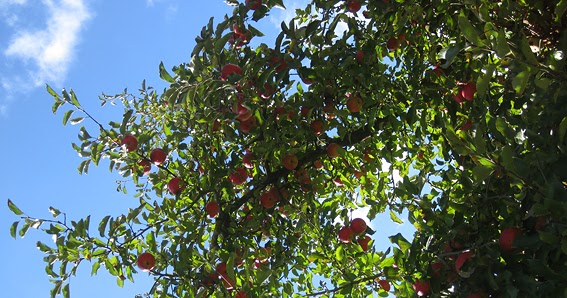 Raumfee Page 39 Chan 6647220 Rssing Com