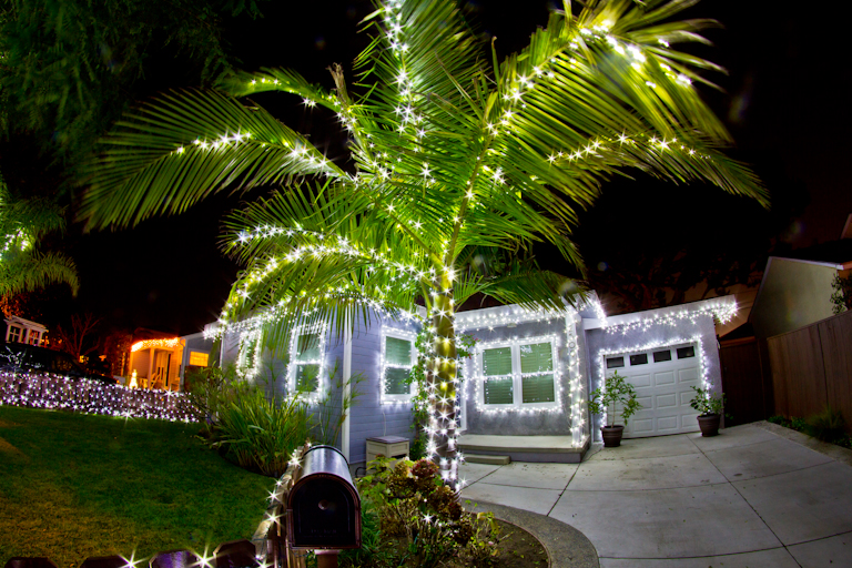 Tales of the Flowers Christmas Lights at the Flowers' house