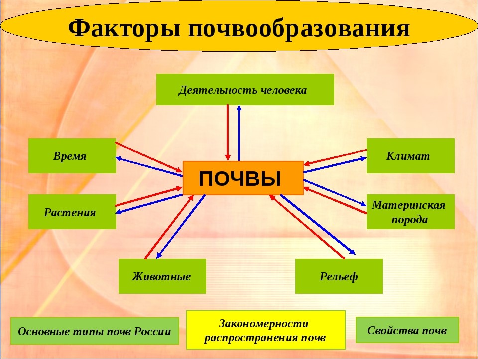 Схема почва образования