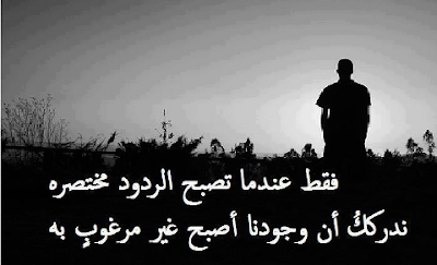 shof_cfc26f337205a0a