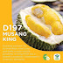 8 Gambar Kenali Durian Yang Popular Dan Beza Rasanya
