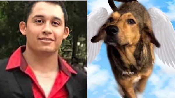 Liberan al sujeto que mató al perrito Rodolfo Corazon "Soy inocente" dijo... Liberan al sujeto que mató al perrito Rodolfo Corazon "Soy inocente" dijo...