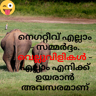 Status image malayalam