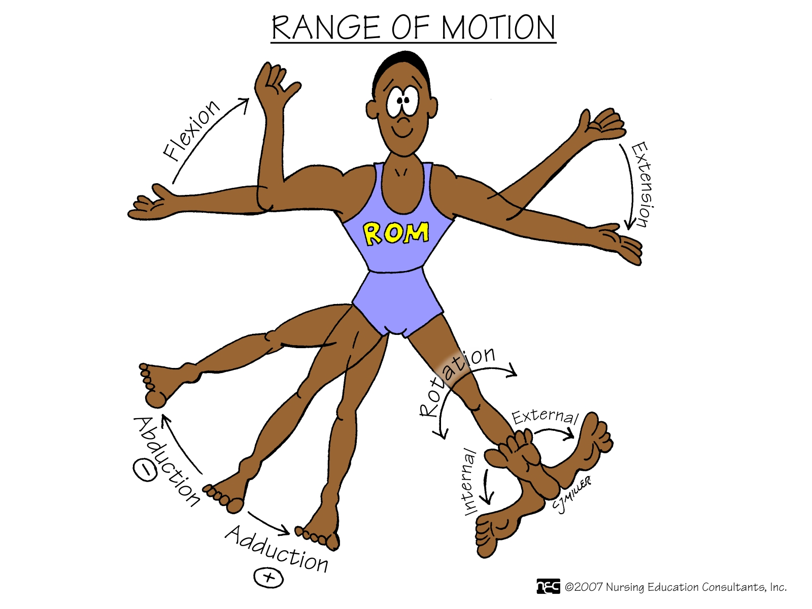 lateral excursion range of motion