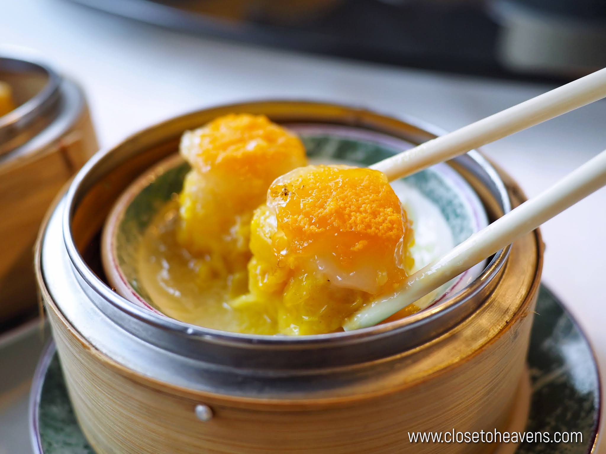 Dim Sum Buffet | Dynasty @ Centara Grand Ladprao