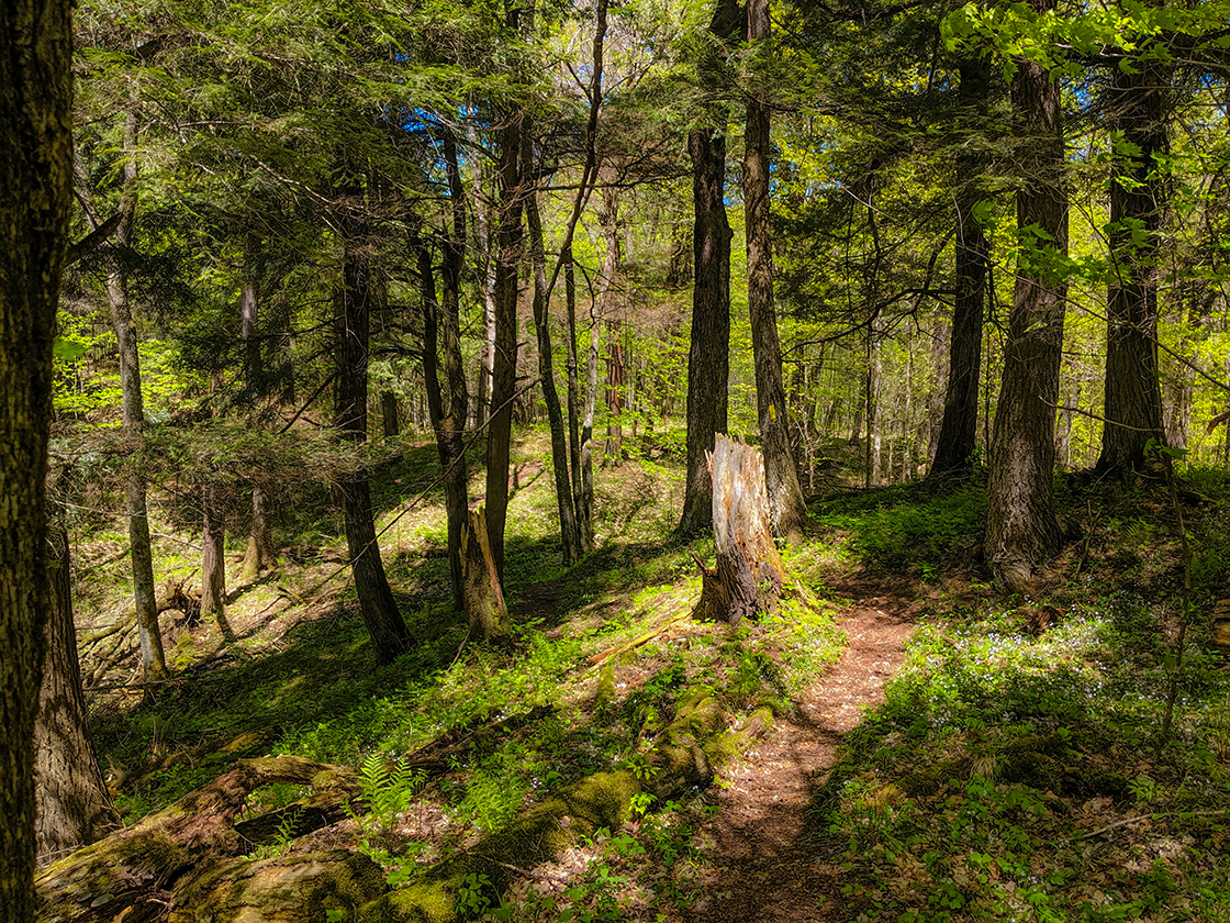 Hiking the Ice Age Trail Jerry Lake Segment