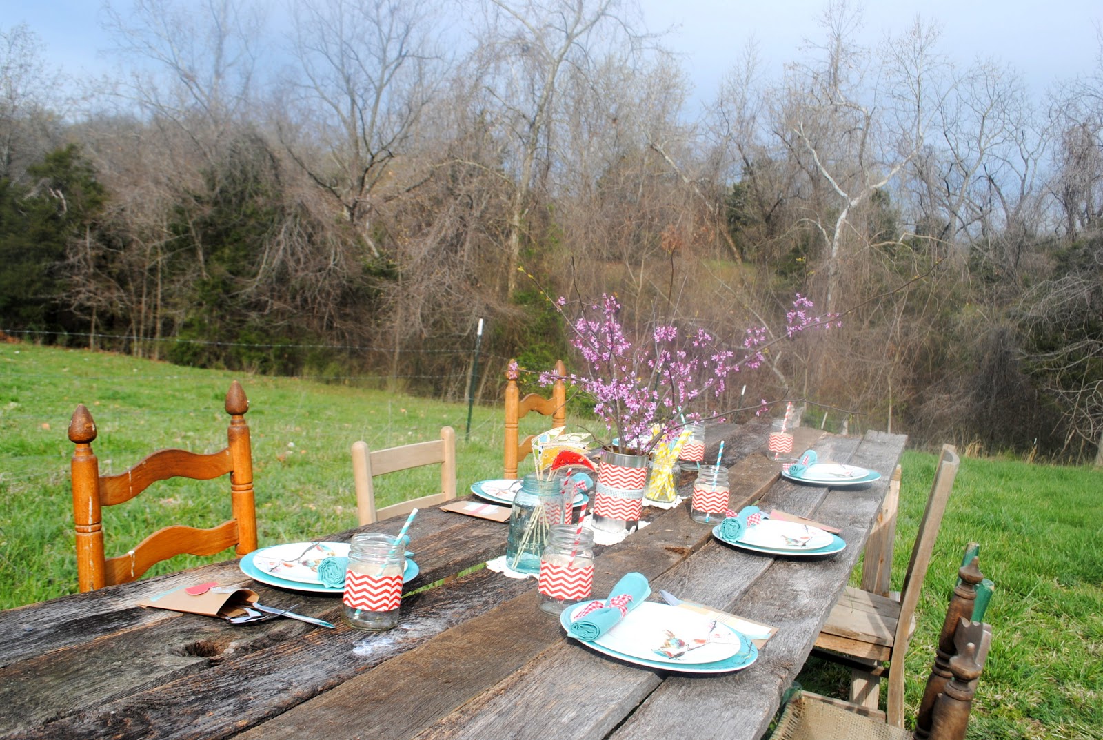 ThriceTheSpice DIY Backyard Brunch