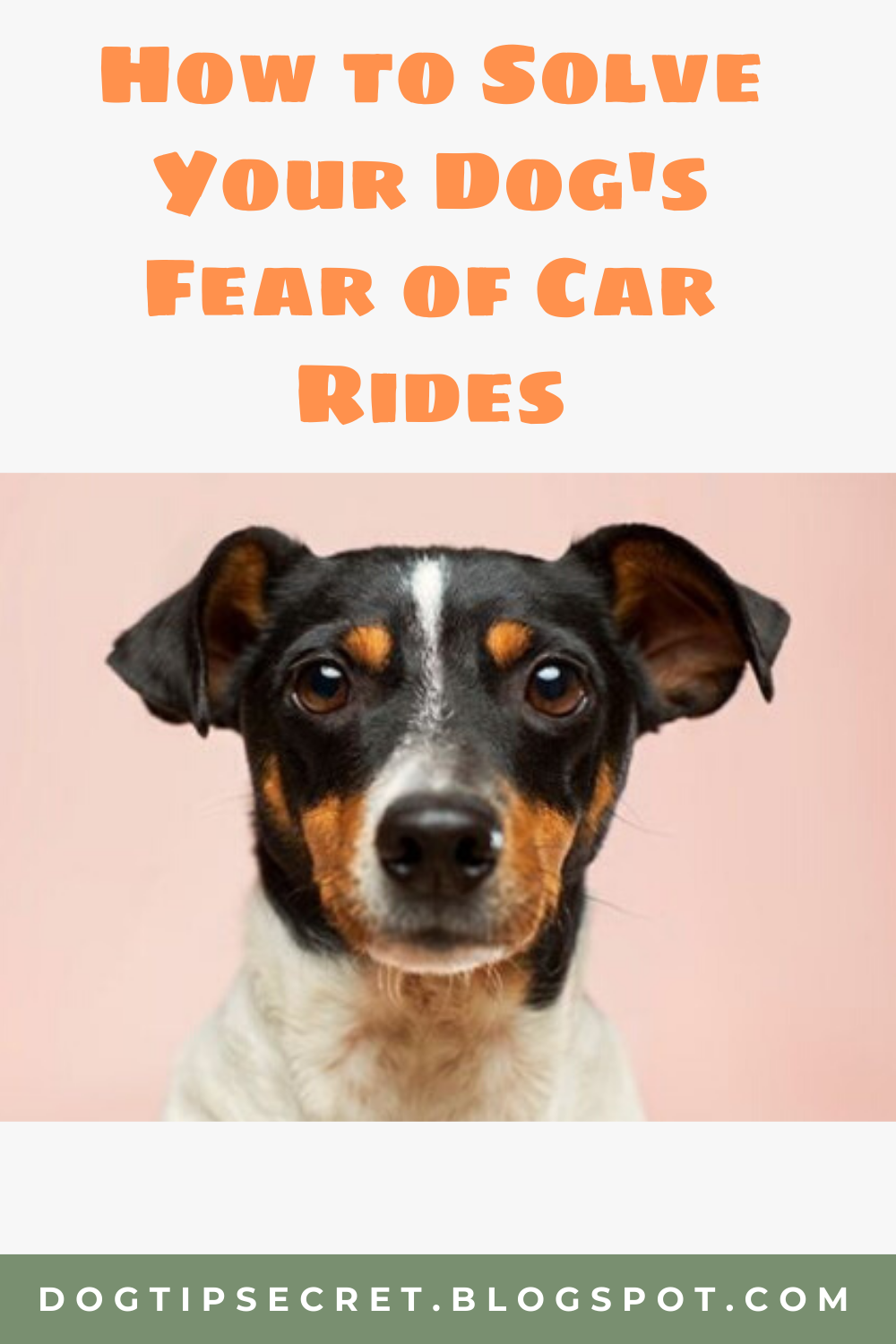 How to Solve Your Dog's Fear of Car Rides Dog TrainingTips Dog Tips