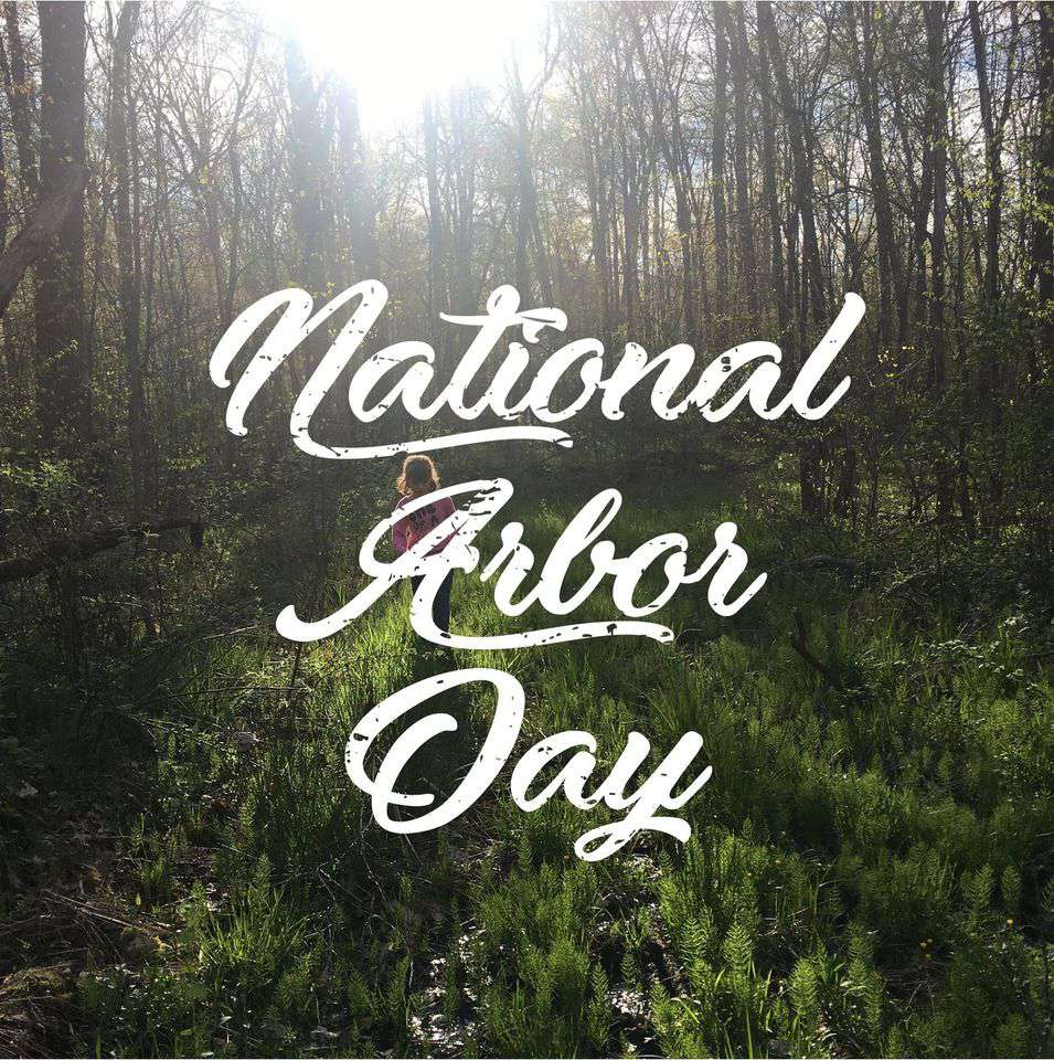 National Arbor Day Wishes Sweet Images