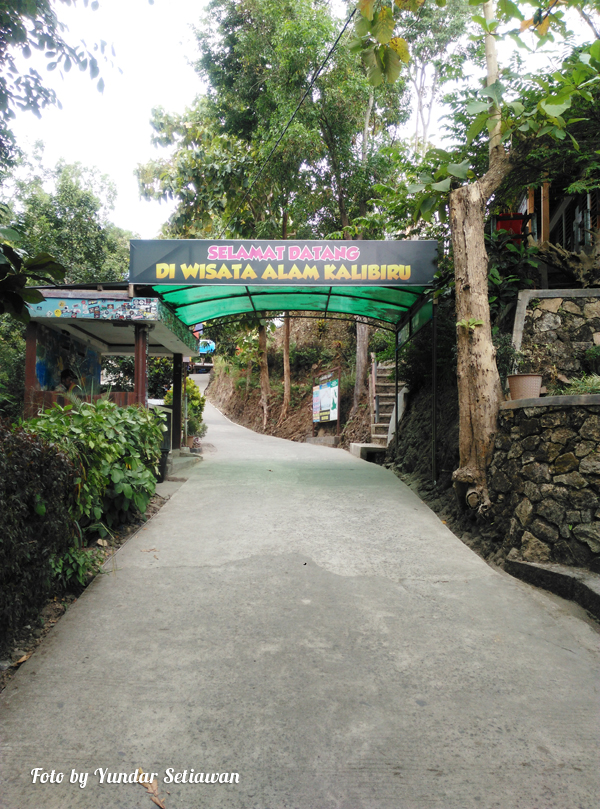 Obyek Wisata Alam Kebun Teh Nglinggo Samigaluh Kulon Progo Obyek Wisata Alam Kebun Teh Nglinggo Samigaluh Kulon Progo