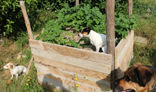 Three fascinated observers Three fascinated observers