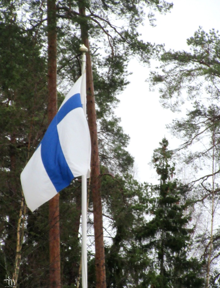 siniristilippu, Suomen lippu