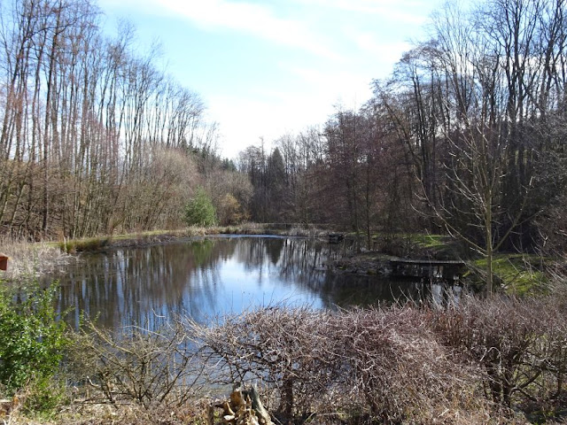 Moosauer-Hof aktuell: Teich und Bach