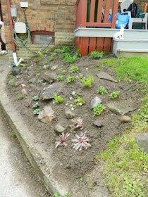 New Toronto Forest Hill rock garden after by Paul Jung Gardening Services