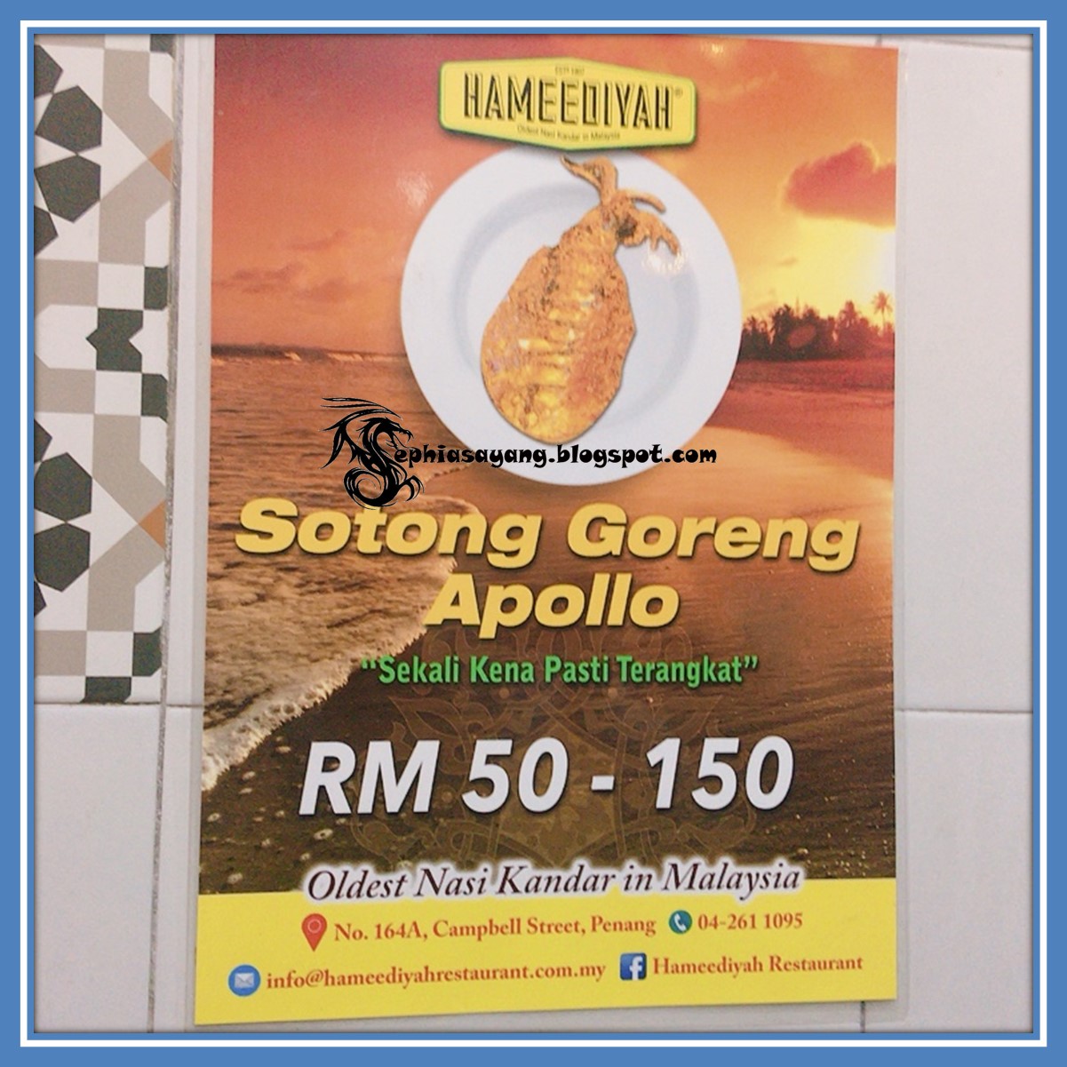 Sotong apollo