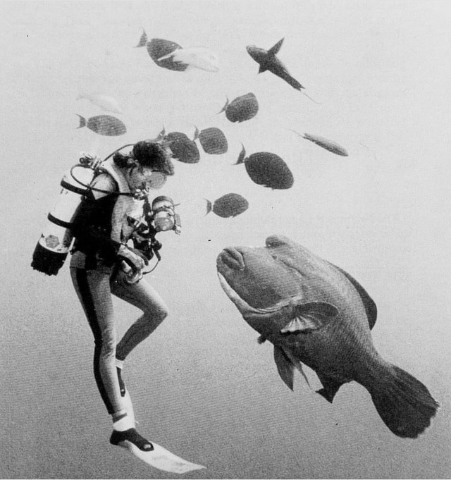 Adolphe critical essays picture