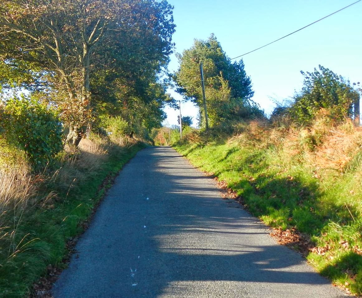 Shropshire Hills Cyclist Woolstaston, Church Stretton