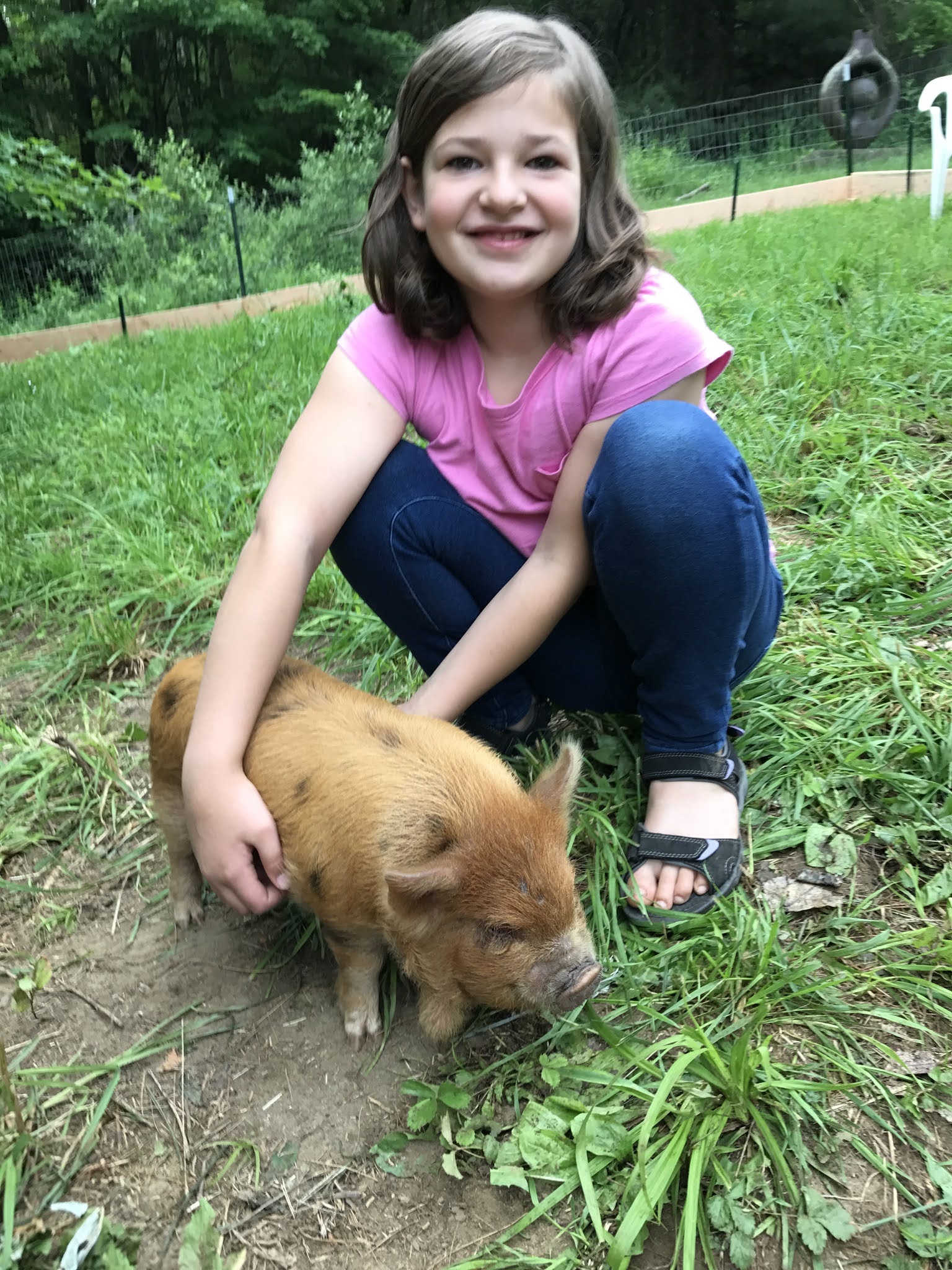 School of Good Books How We Became Pigkeepers Pig Tales Part 1