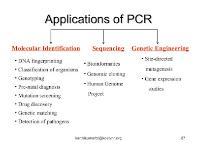 Applications of PCR