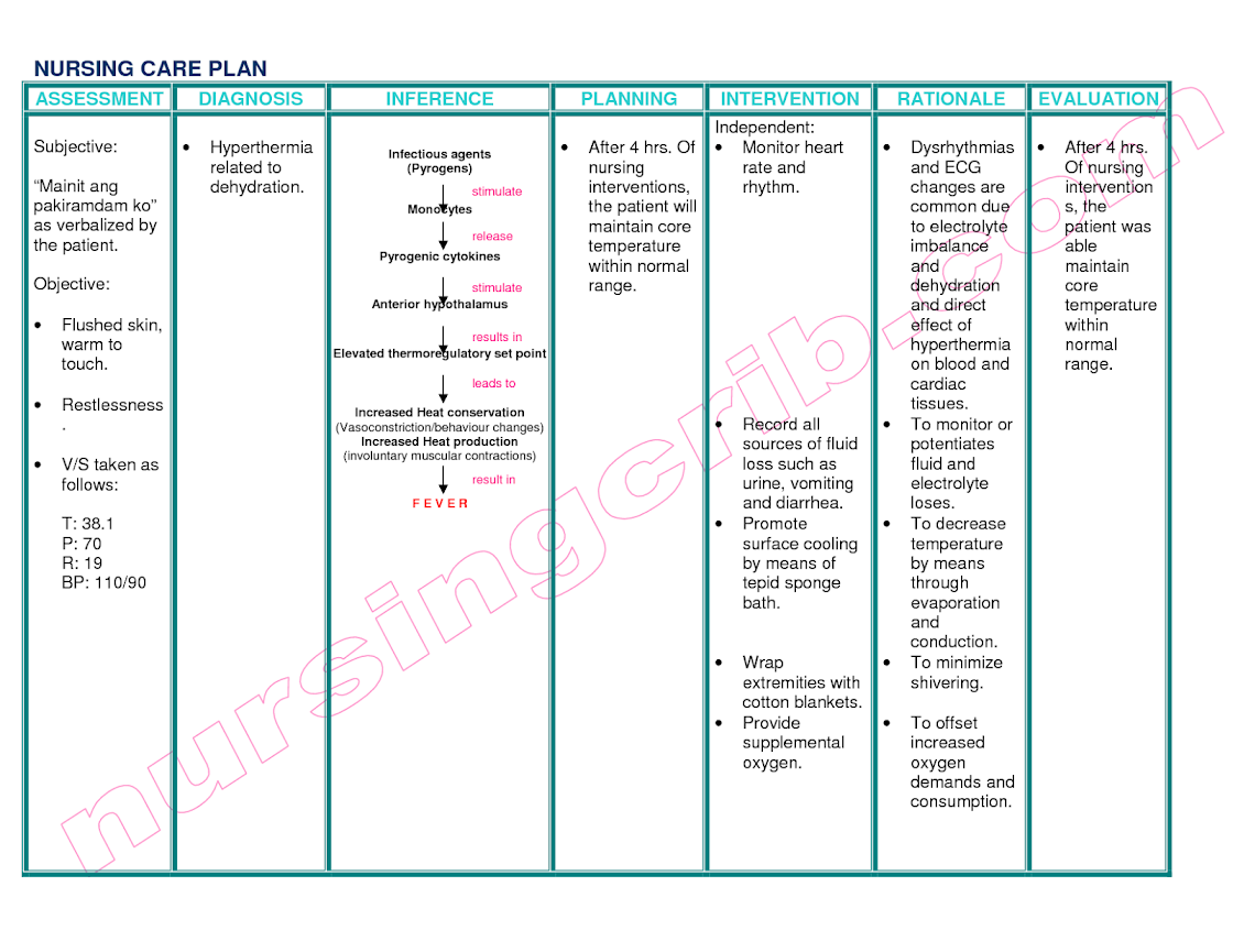 Chf Nursing Care Plan Nursing Care Plan Examples chf-nursing-care-plan-nursing-care-plan-examples
