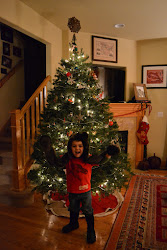 aesthetic christmas tree happiest december dalliances wonderful most