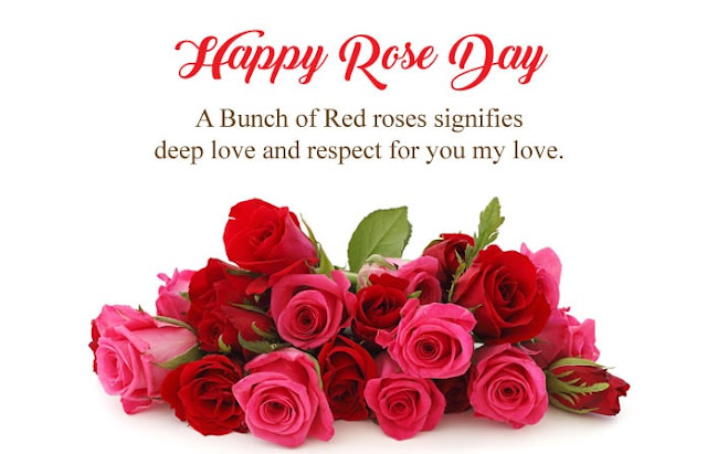 pics of rose day with quotes, rose day images with quotes for husband, images for rose day with quotes, images of happy rose day with quotes, rose day images with quotes for wife, rose day images with love quotes, rose day images with quotes for boyfriend, images of rose day with quotes, happy rose day images with quotes in hindi, rose day images with quotes in hindi, pics of rose day with quotes in hindi, rose day images with quotes download, rose day images with quotes in marathi