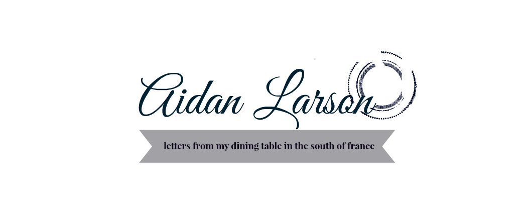 AIDAN LARSON