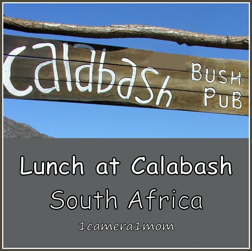 1camera1mom Lunch at Calabash