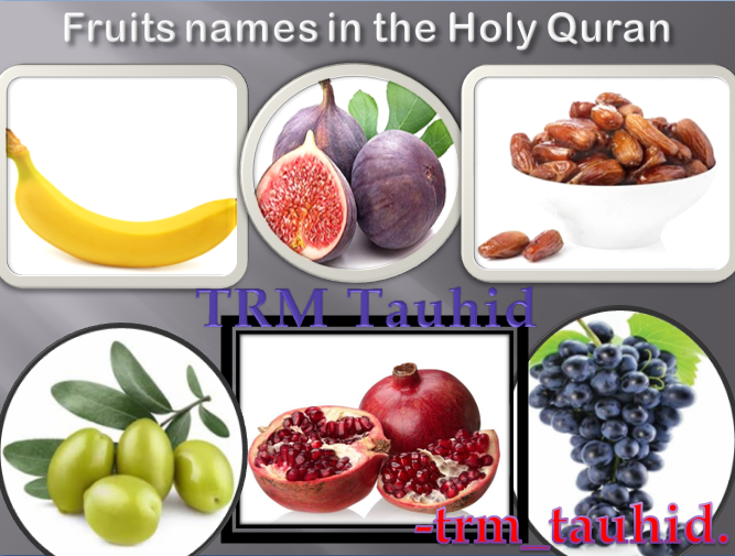 TRM TAUHID Fruits Names Mentioned in the Holy Quran