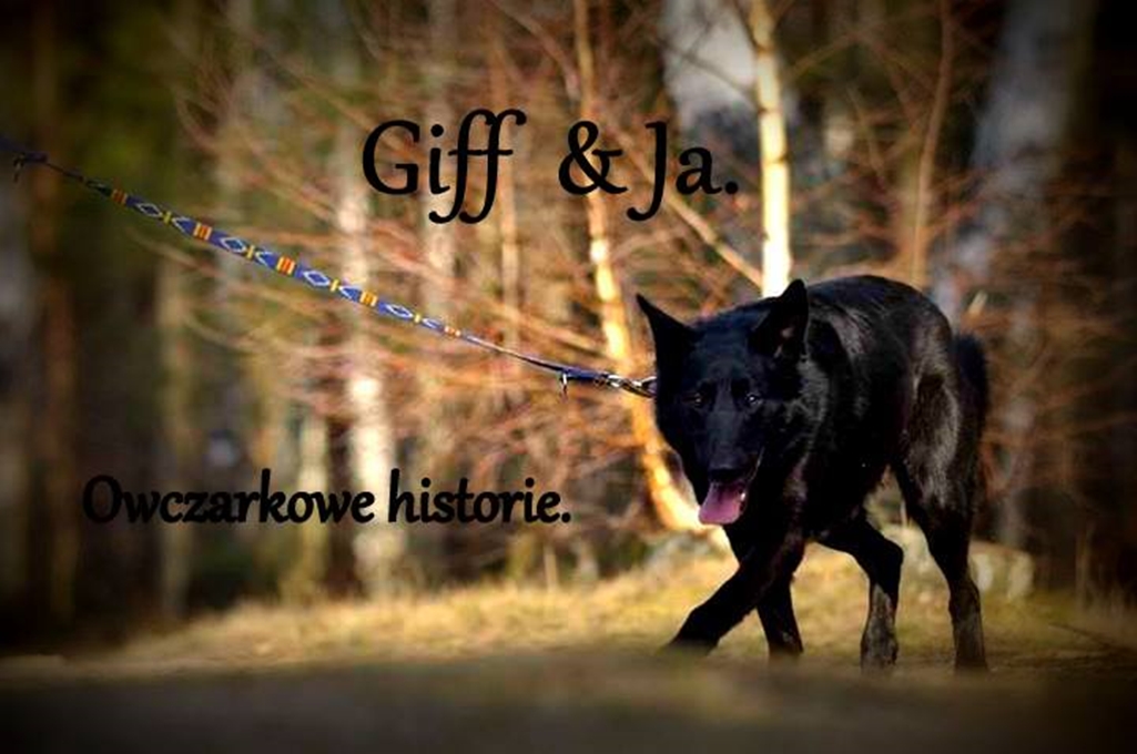 Owczarkowe historie.