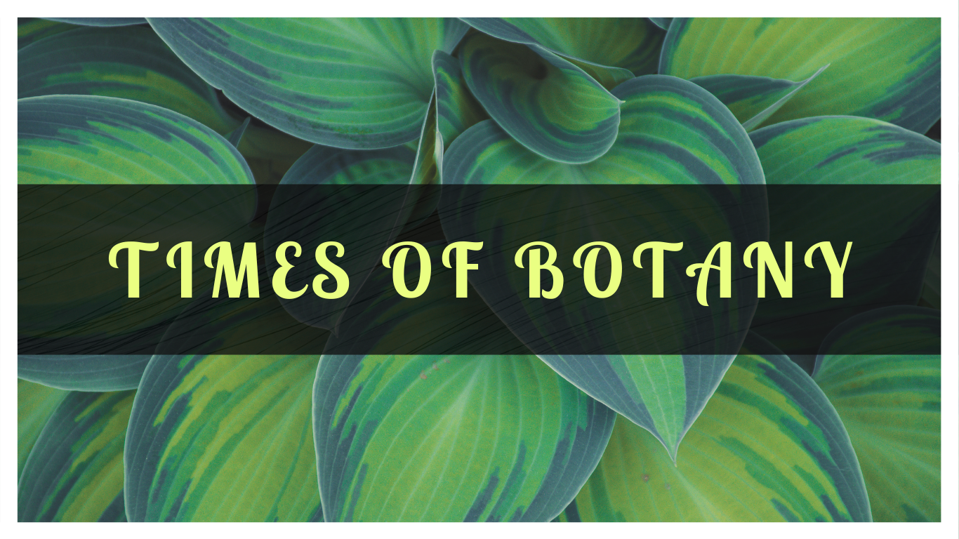 Times of Botany