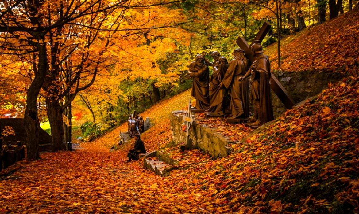 осенний лес англия. водопад осенью. осенний водопад. пейзажи с ручейком осень. канада кленовый парк.