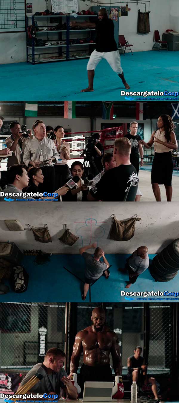 Never Back Down Last fight HD quality - YouTube