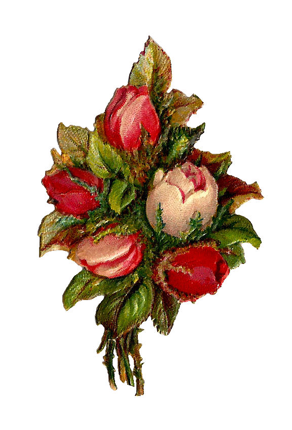bouquet of roses clipart - photo #7