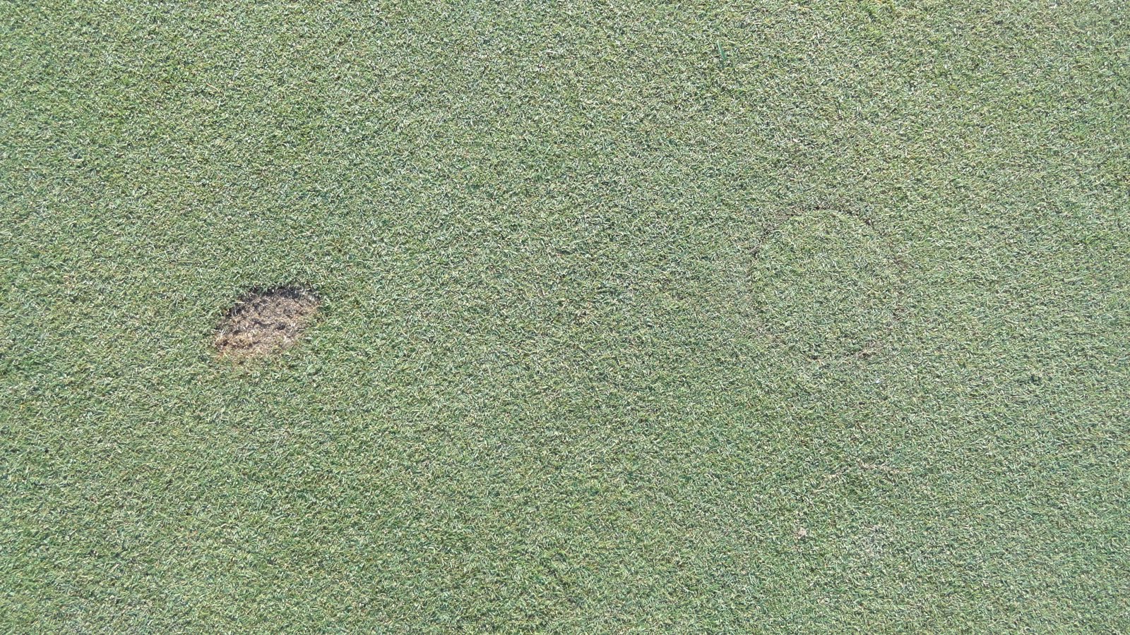 Divot Repair Naperville Country Club Green Department