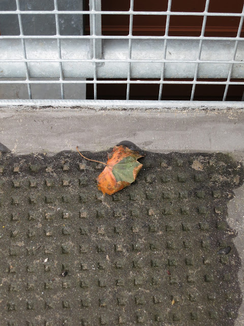 Autumn leaf by heavy mesh barrier at edge of car-park on supermarket roof.