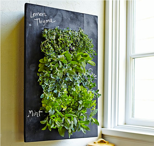 BCM DESIGN: Jardines Verticales