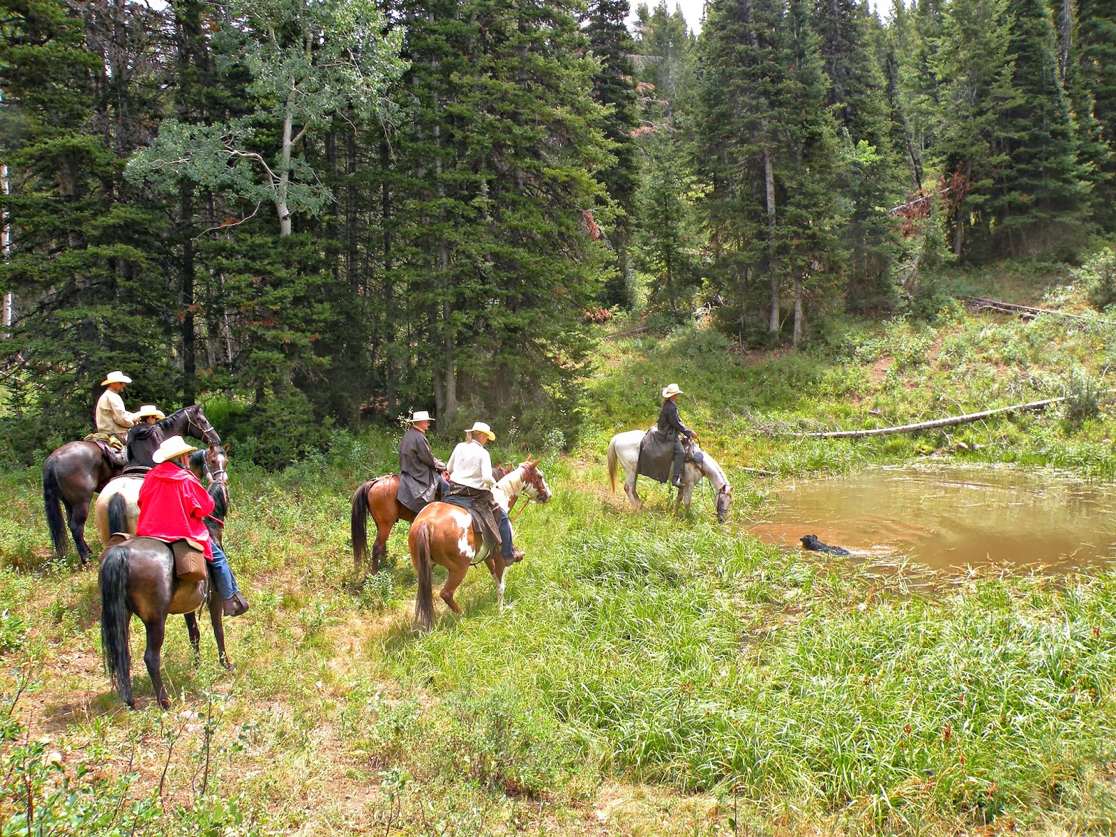 Dream Packer Trail Adventures: Monte Cristo, Utah, Lightning Ridge